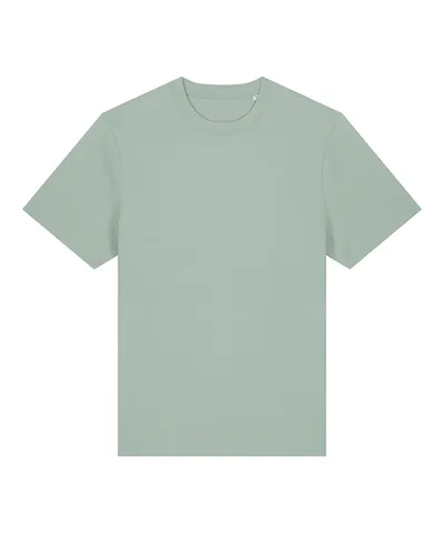 Unisex Sparker 2.0 heavy t-shirt (STTU171)