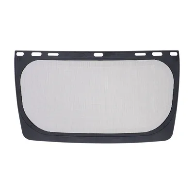 Mesh Visor
