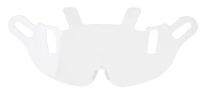 Endurance Visor Replacement