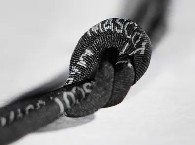 Mascot Laces