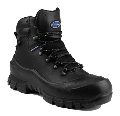 Lavoro Exploration Low H/d Boot