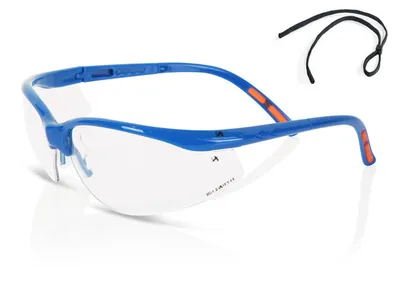 Beeswift Adjustable Safety Glasses