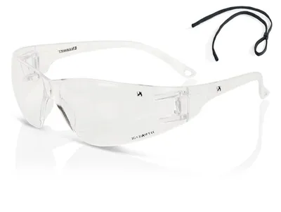 Beeswift Wraparound Safety Glasses