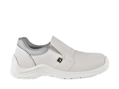 Gusto81